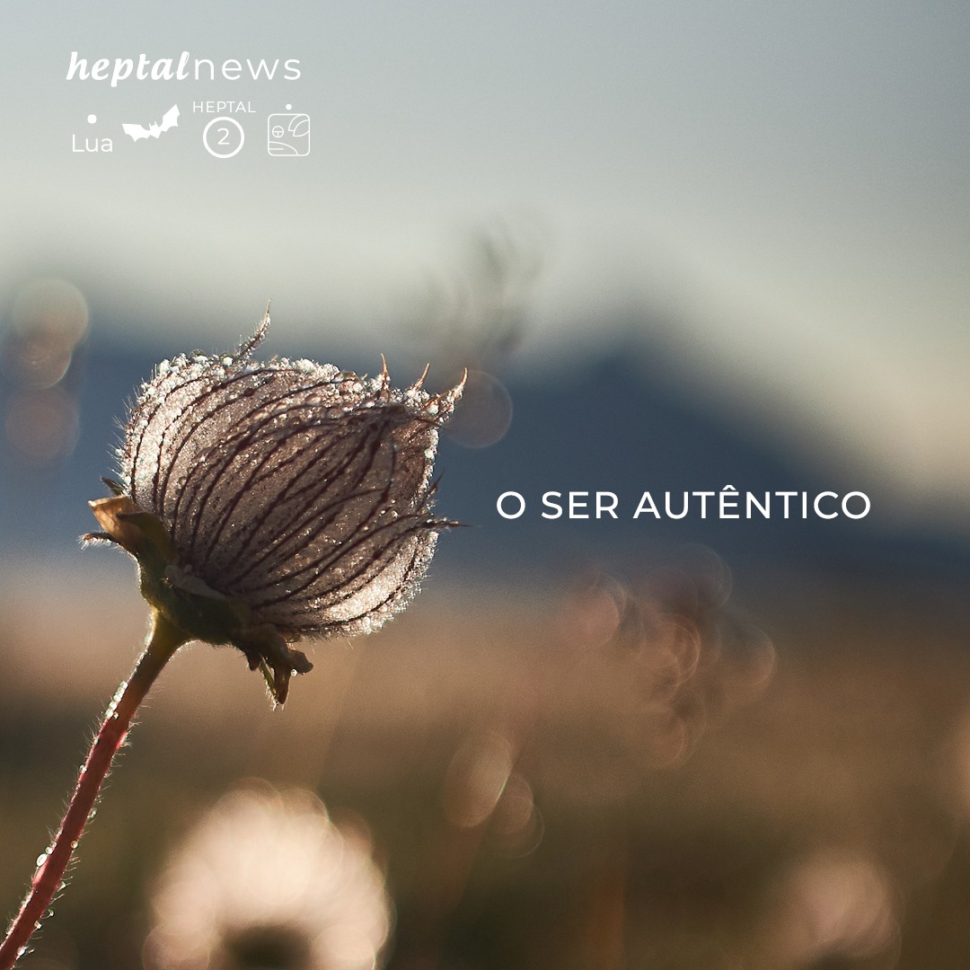 ~ Autêntico Ser ~