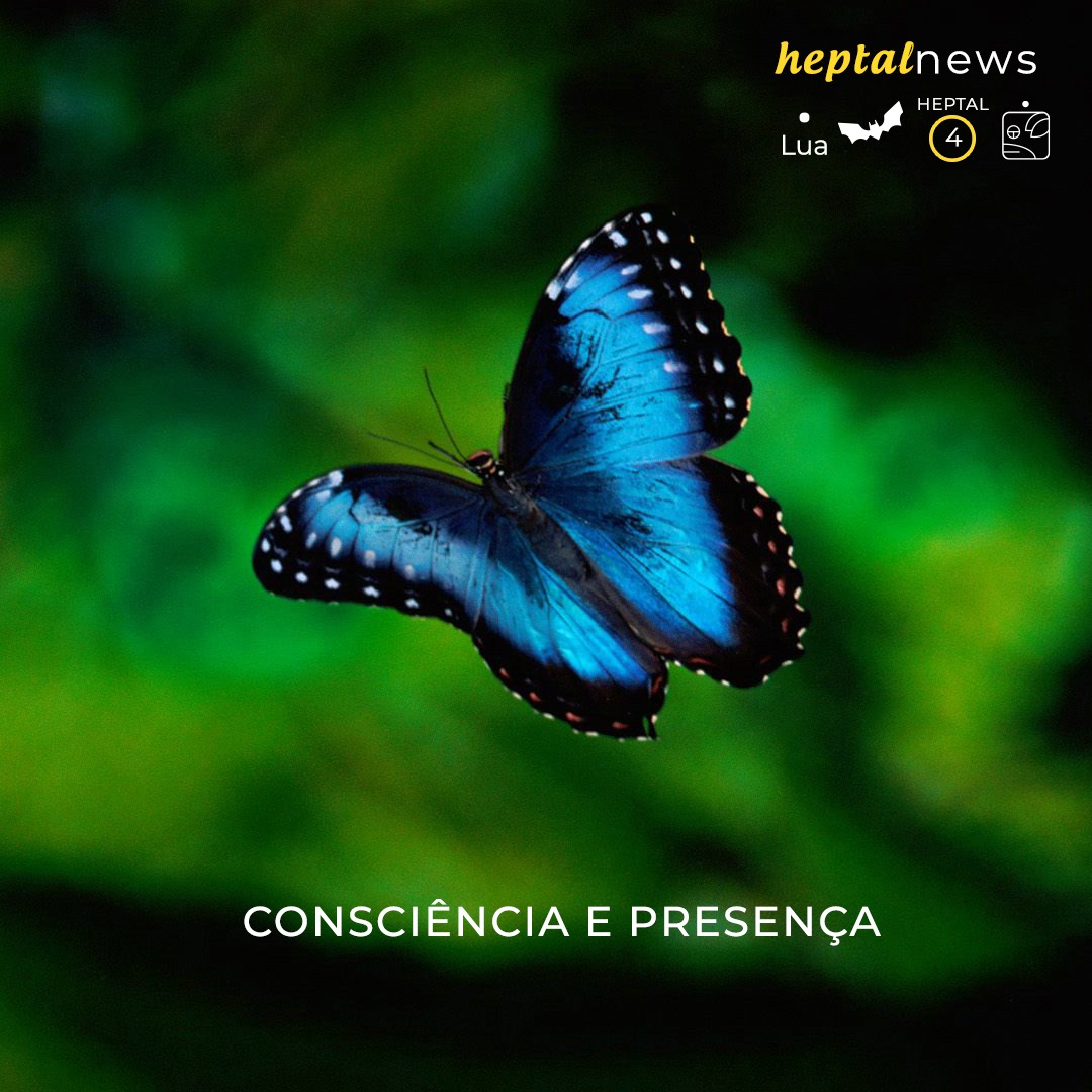~ Consciência e Presença ~