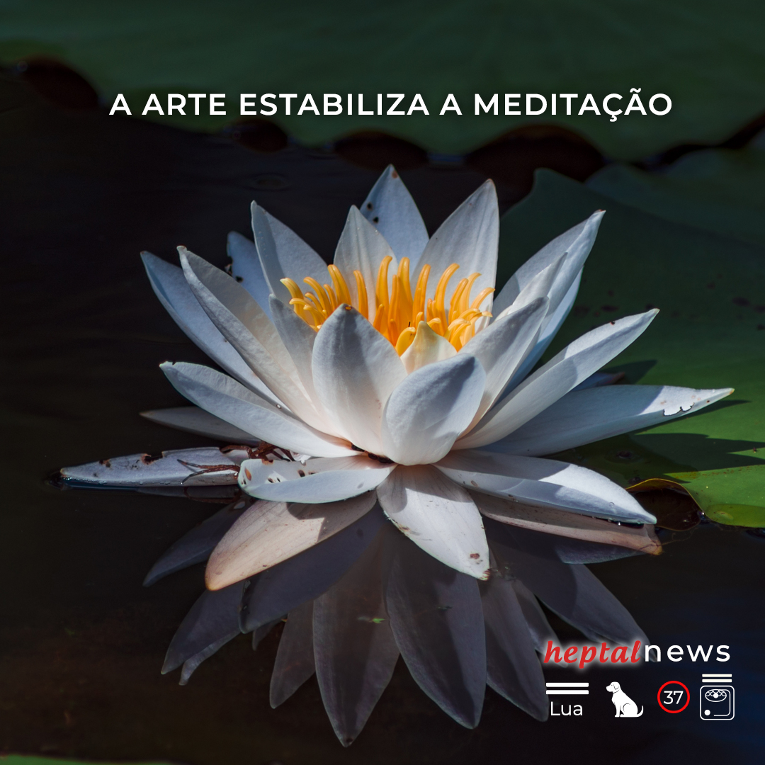 ~ A abundância é uma constante, ela está em tudo. ~