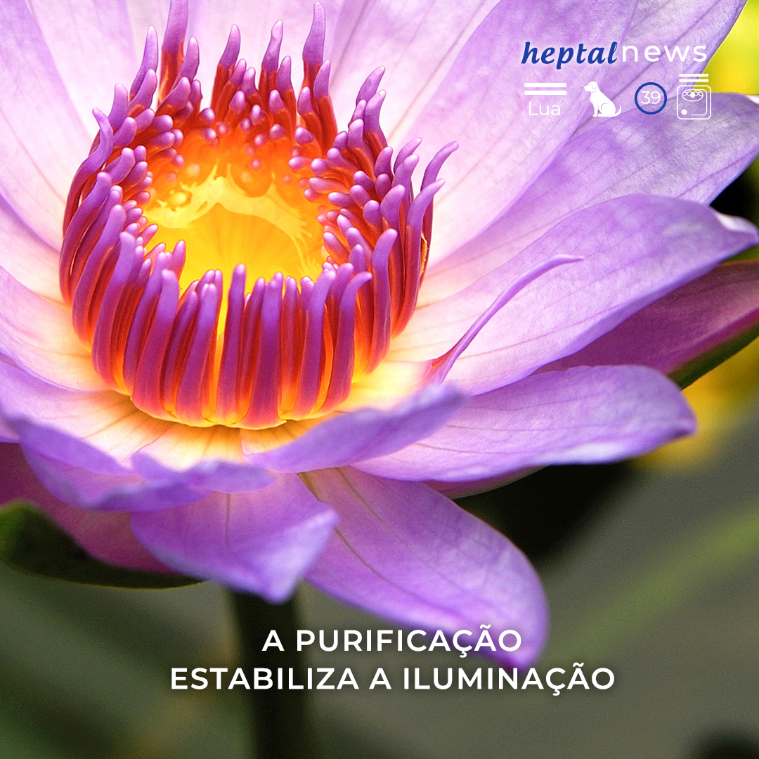 ~ “O que o universo deseja de você é que você sonhe o sonho mais elevado”~