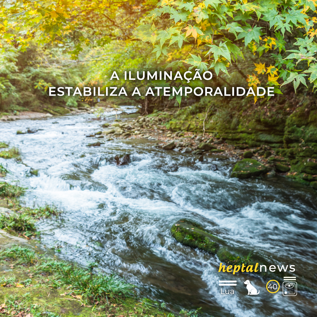 ~ “Aqui e agora você está cara a cara com o divino”~