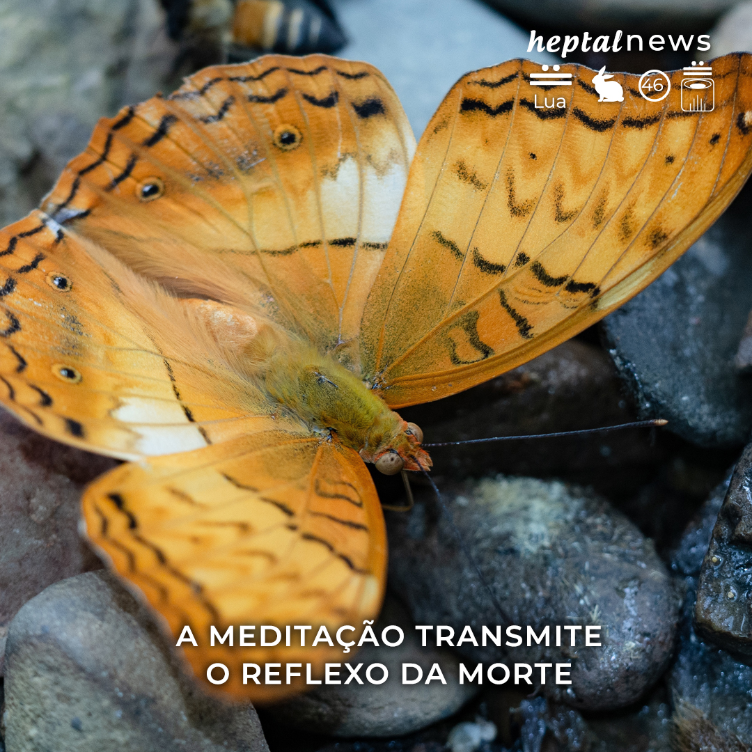 ~ “Seria possível seguir com o básico, o simples?”~