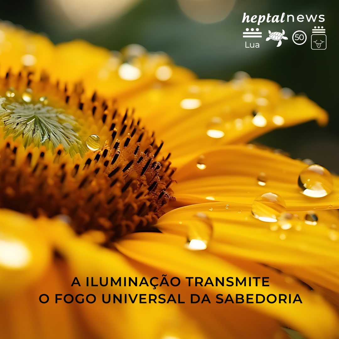~ “Potência cumulativa dos Kins”~