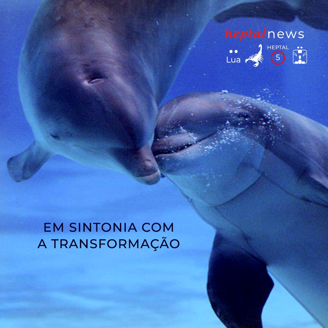 ~ algo novo chega até você ~