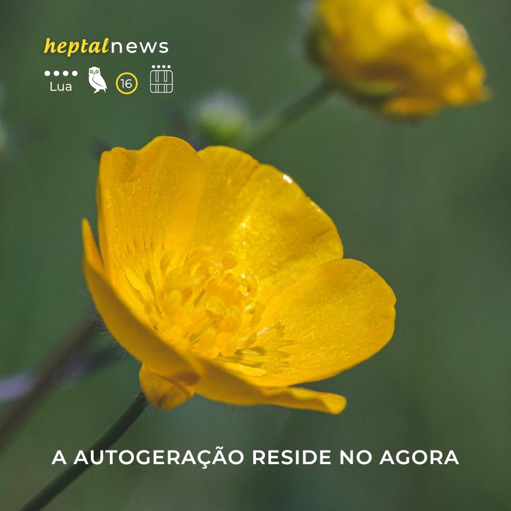 ~ tão inocentes que podem ver o presente ~