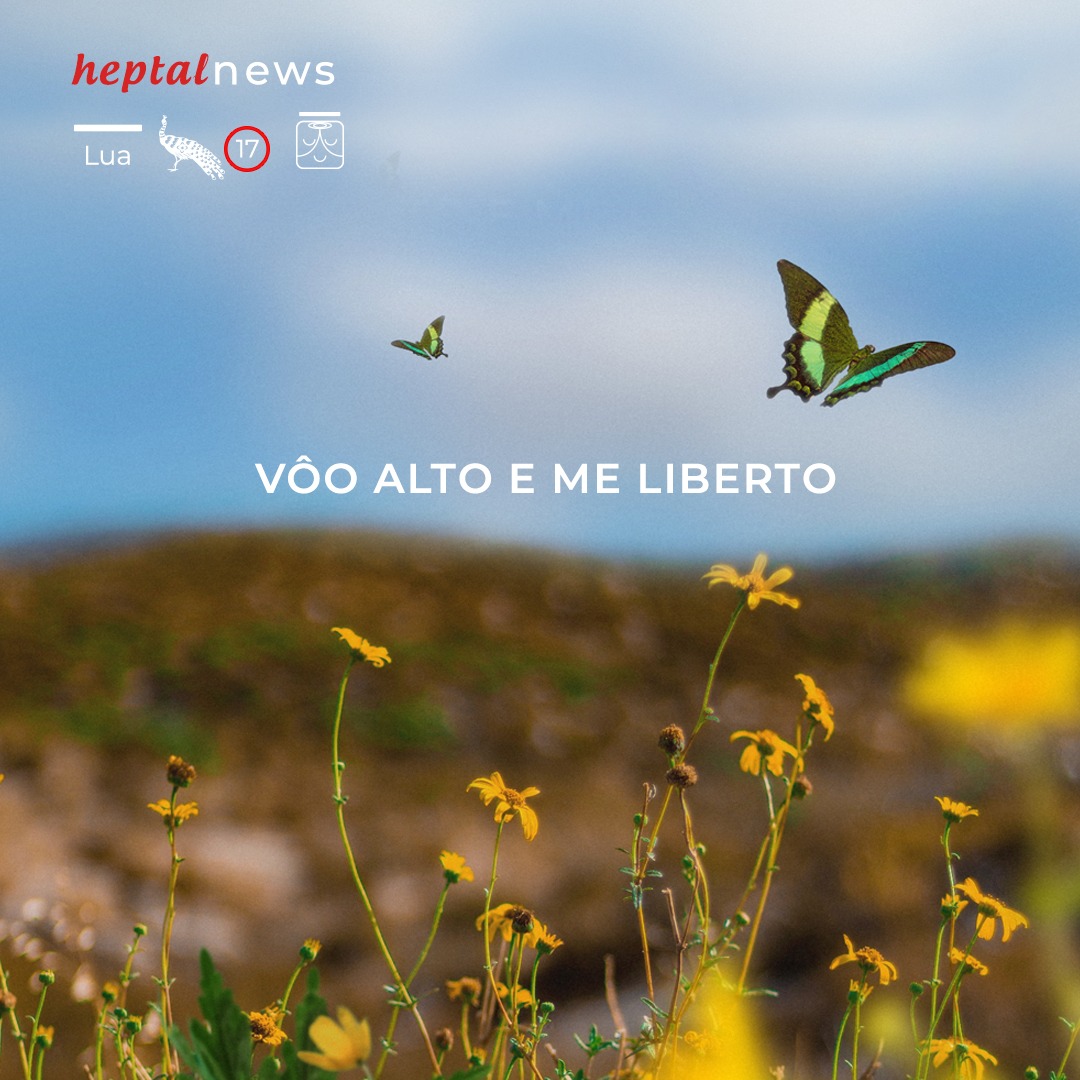 ~ O Tempo dentro do Tempo ~