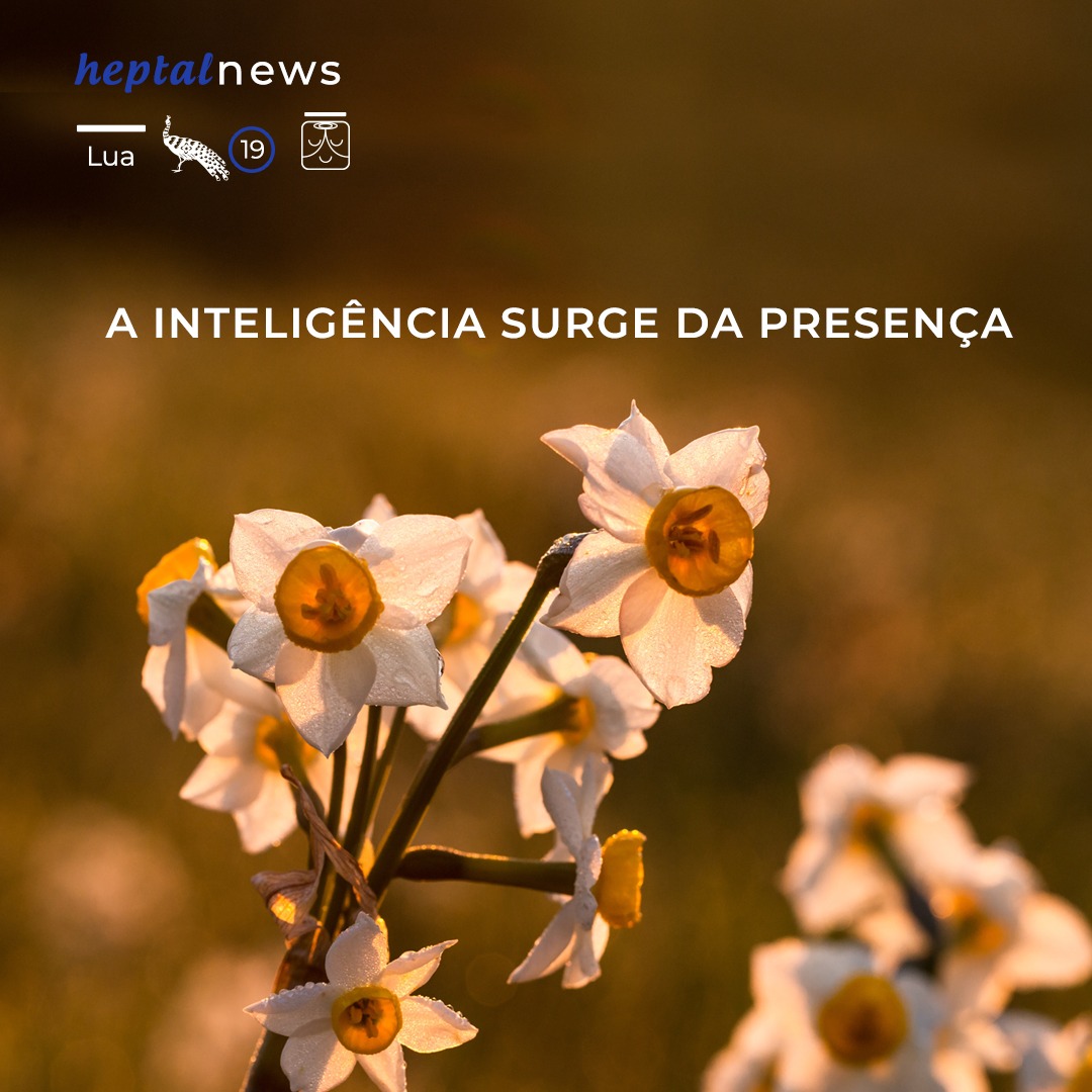 ~ a real inteligência ~