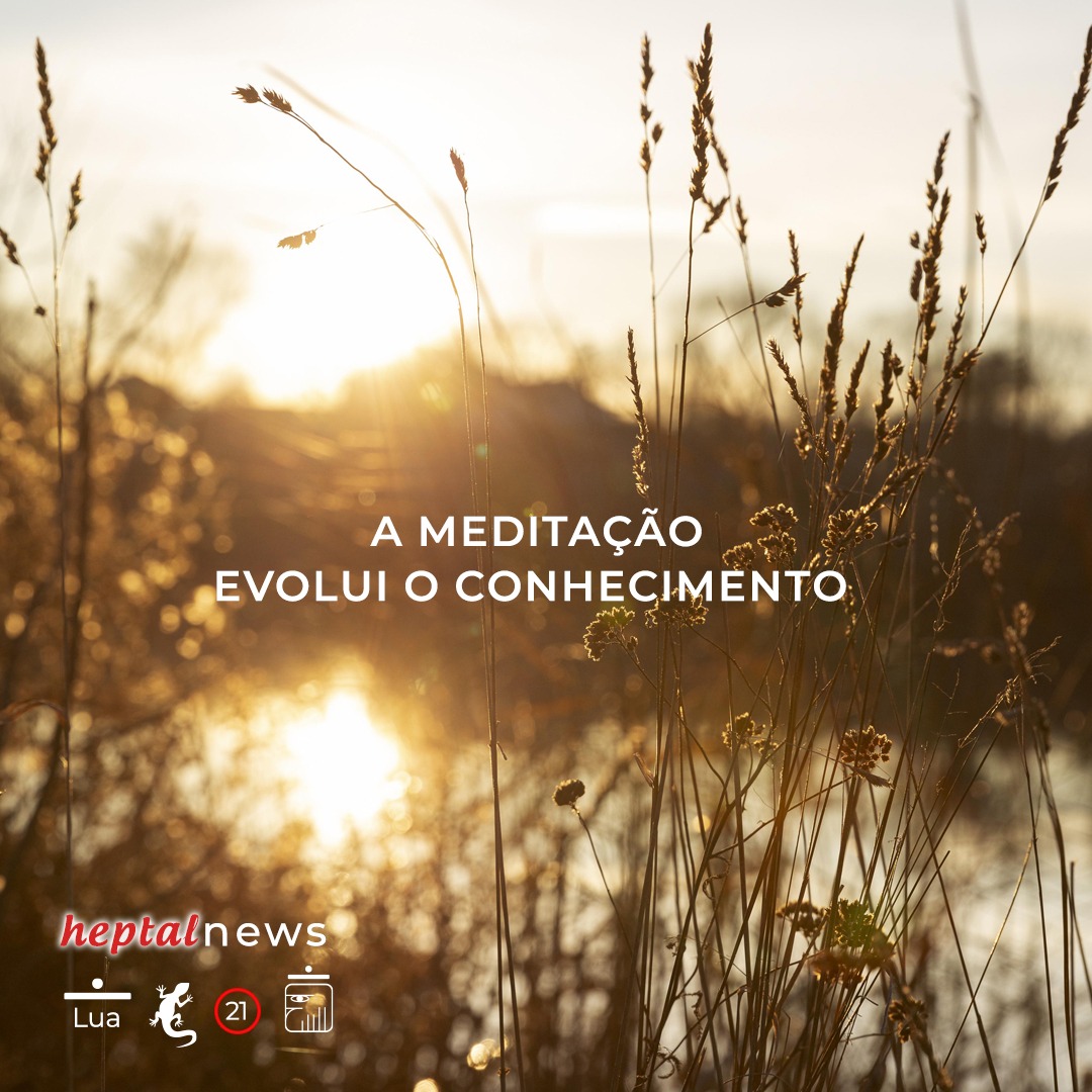 ~ igualdade universal ~