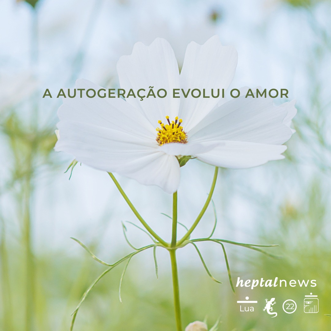 ~ o sorriso do universo ~