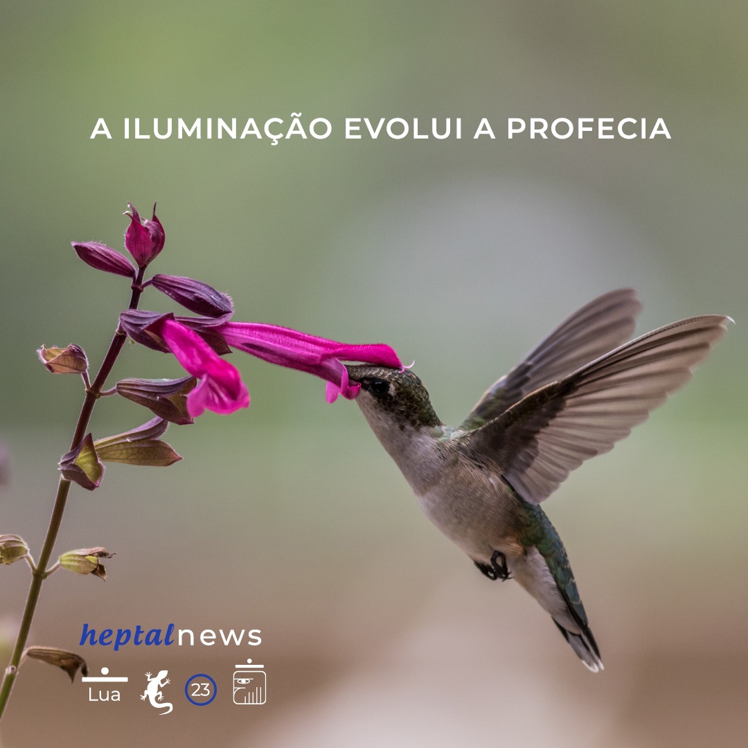 ~ navegar no tempo é arte ~