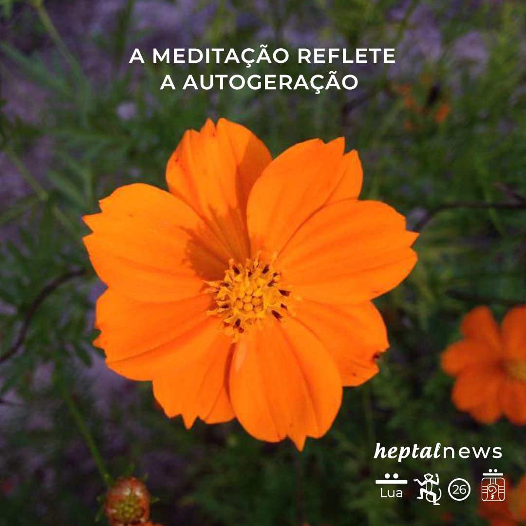 ~”a memória do céu”~