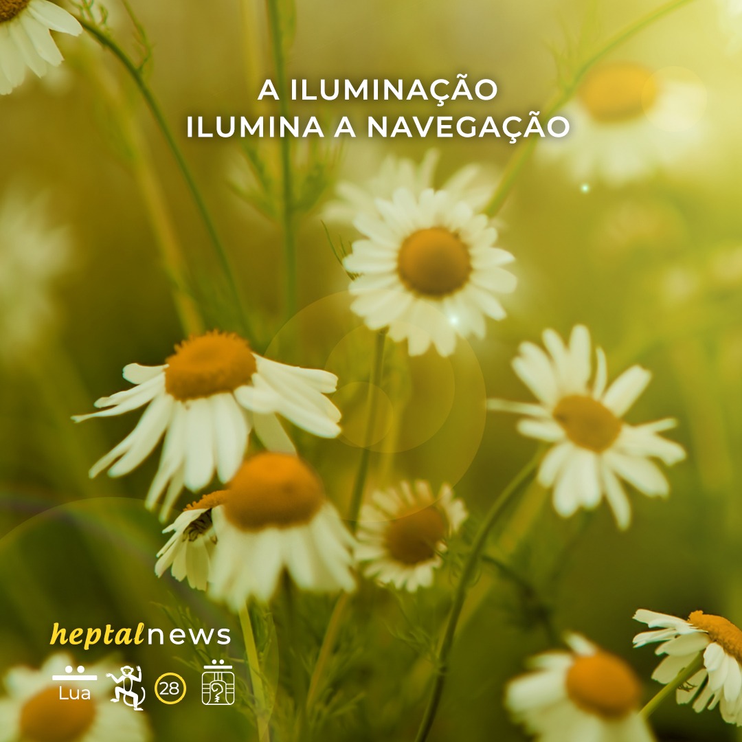 ~ Focalize no teu melhor e veja o fruto amadurecer ~