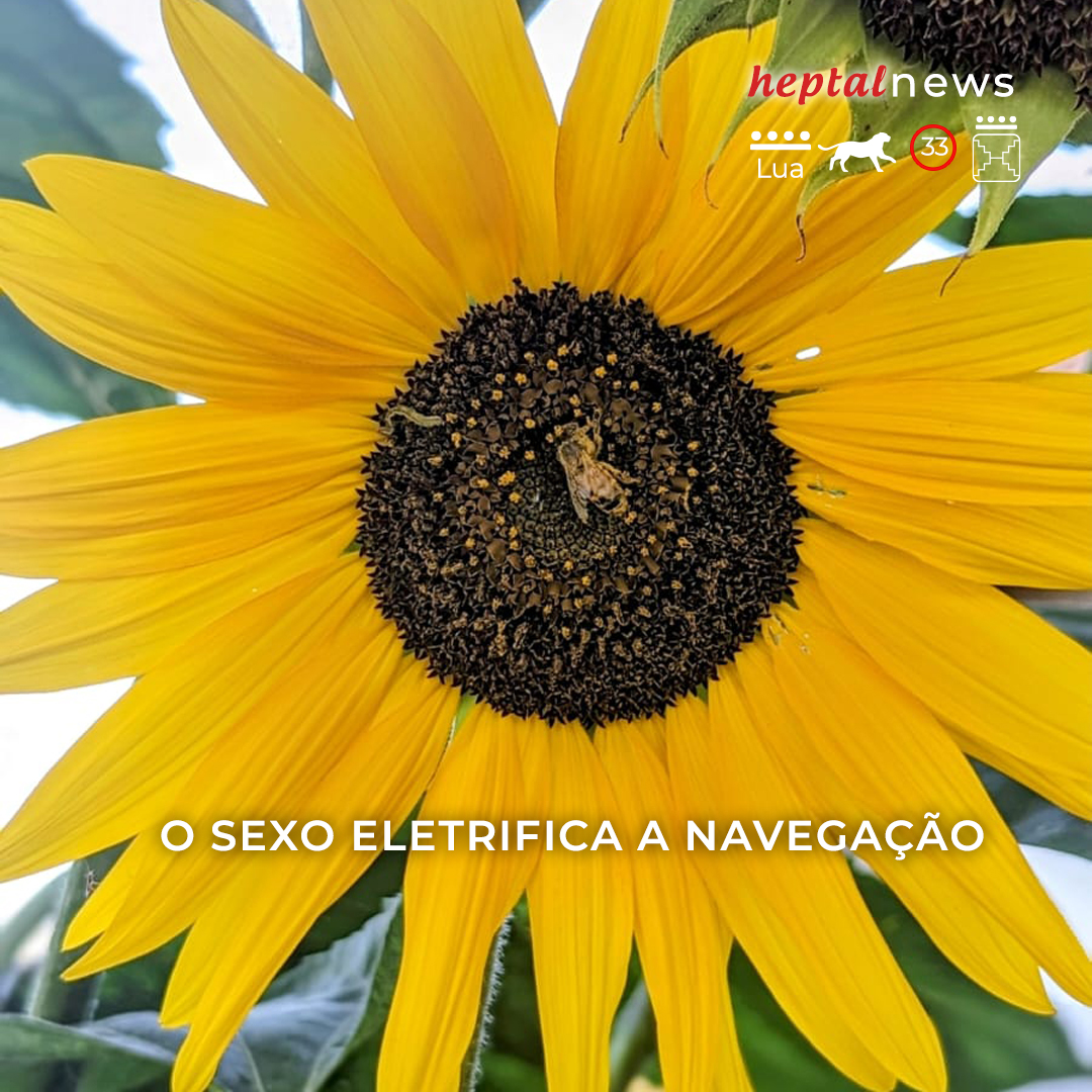 ~ Tenho um convite especial neste post~