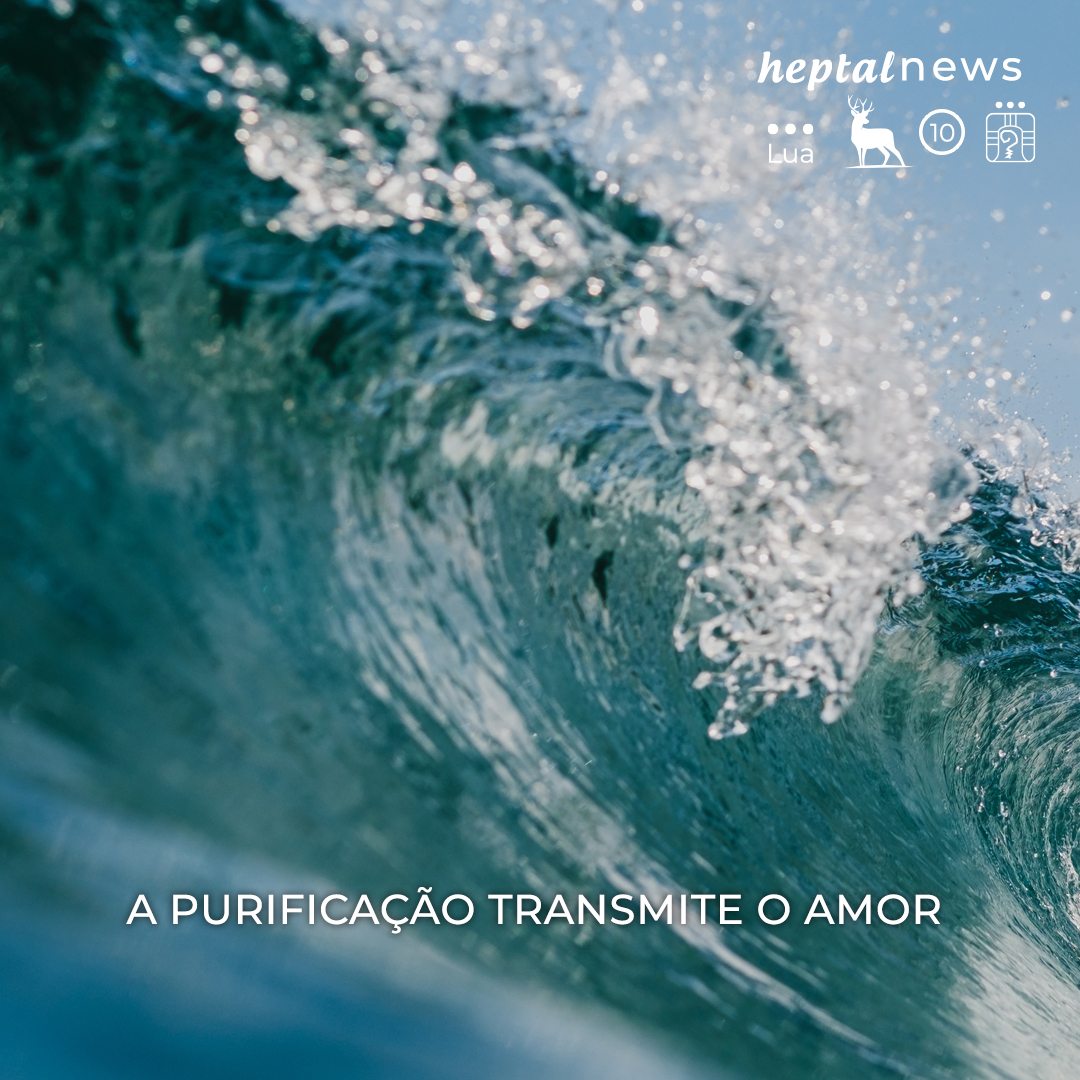 ~ ” Se existir equilíbrio, você cruzará oceanos …”~