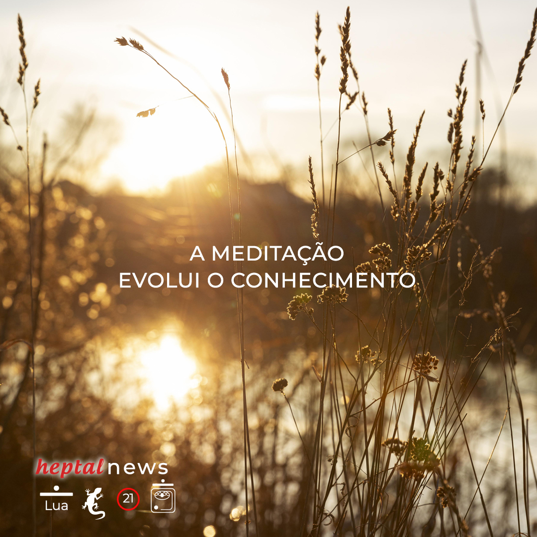 ~”O Caminho Essencial”~