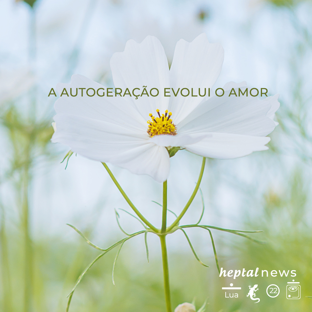 ~”A riqueza da satisfação”~