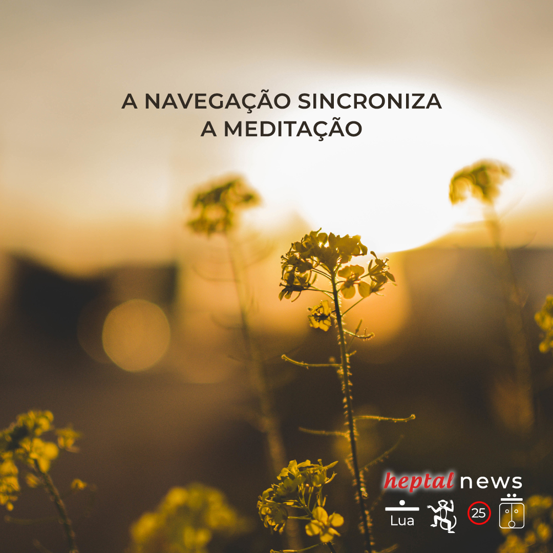 ~”as portas da abundância”~