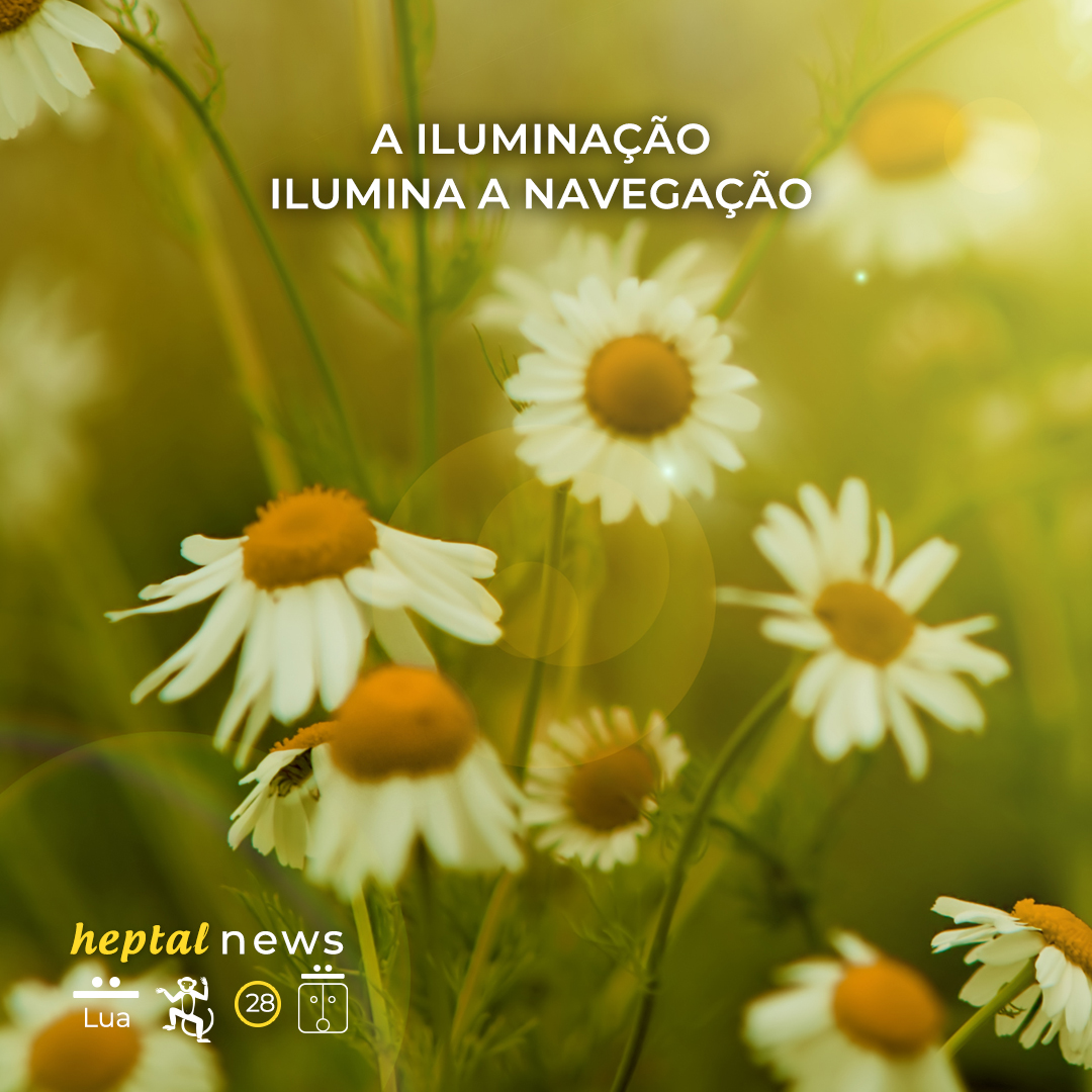 ~”Você é o oceano inteiro em uma gota”~