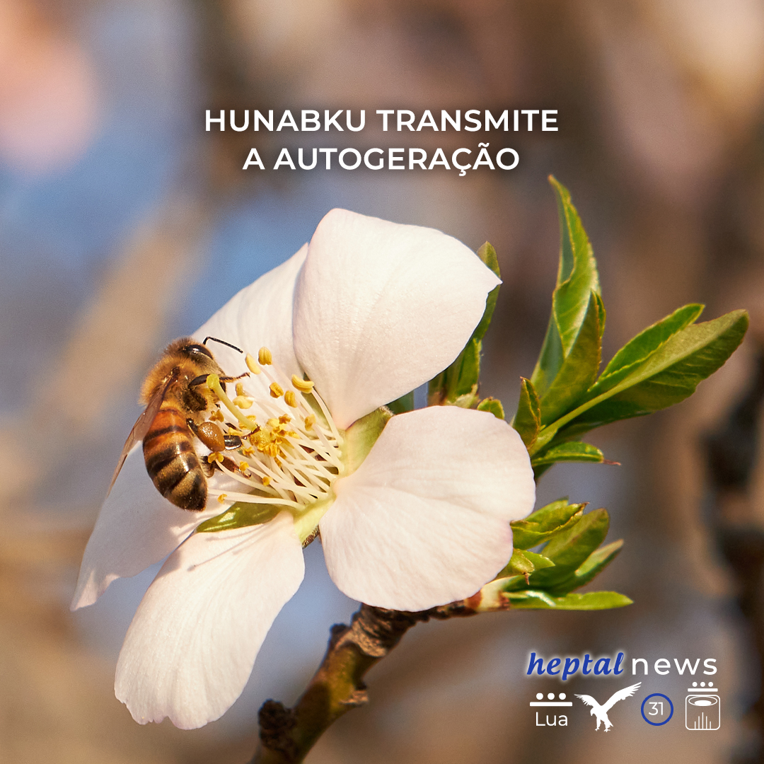 ~”Aqui e agora, tudo está perdoado”~