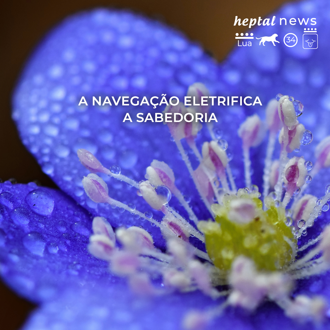 ~” navegar no tempo é arte “~