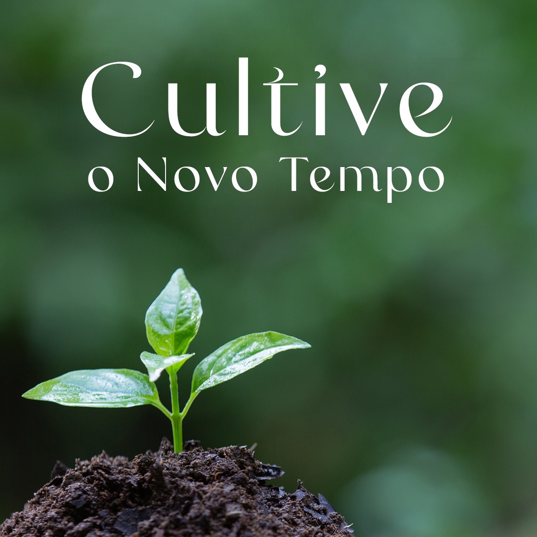 Cultive o novo tempoSincronário da Paz propõe substituir o calendário gregoriano pelo tempo natural