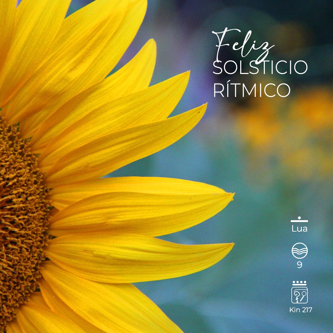 Feliz solstício de verão!
