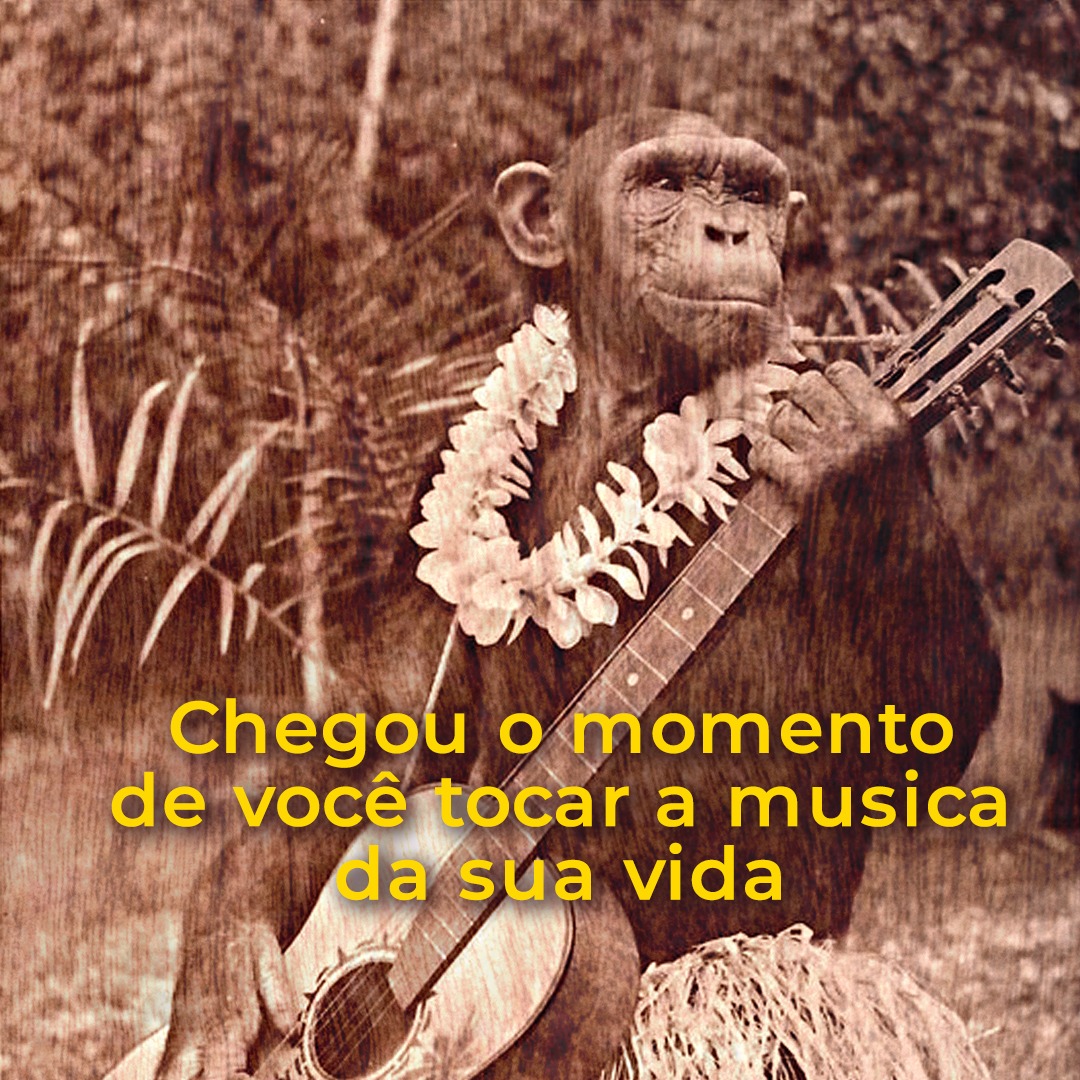 Chegou o momento de você tocar a música da sua vida